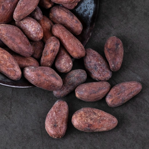 Bulk cocoa buying guide for international buyers managing volume, quality, and shipment terms