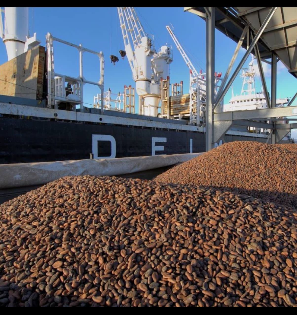 Cocoa supply chain explained from farm to buyer with shipping and export logistics